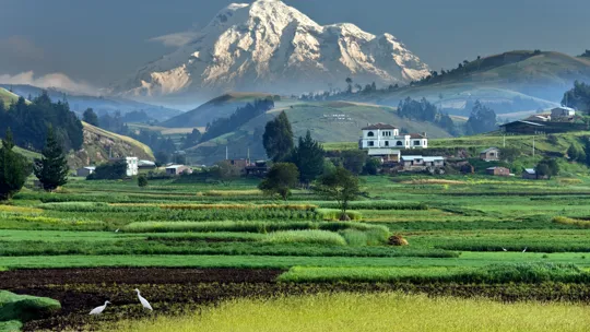 Lush farmland with scattered houses and a snow-capped mountain in the background