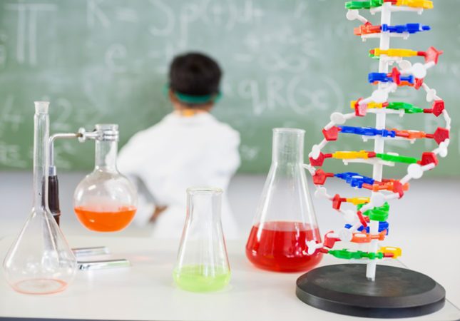 Primary science homeschooling