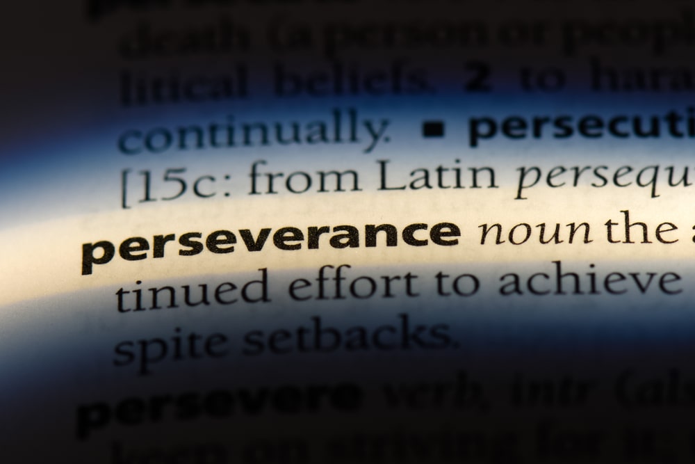 What is learning perseverance