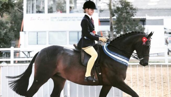 homeschooling equestrian athlete