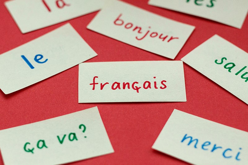 primary homeschooling French
