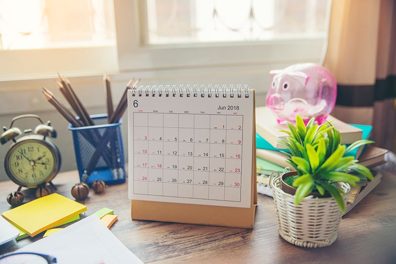 This homeschooling advice includes planning a schedule