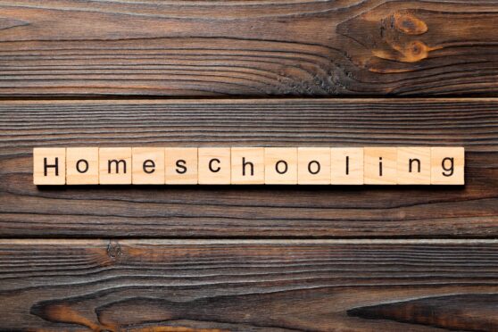 facts about homeschooling